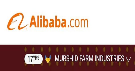Murshid Farm Industries - 17 years verified on Alibaba